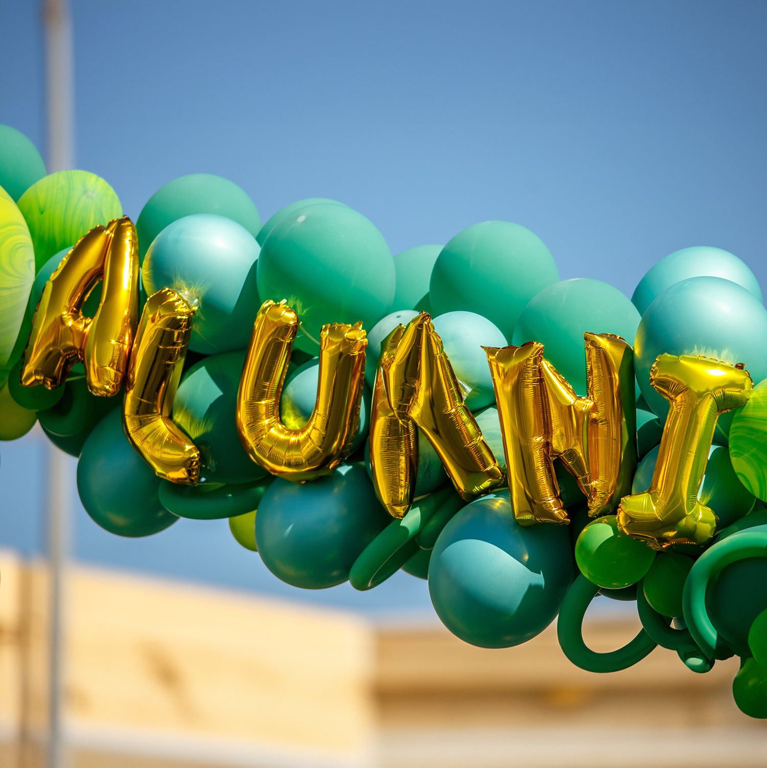 Alumni balloons